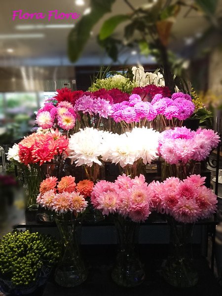 Uzivatel 銀座 フローラ フローレ Na Twitteru こんばんは お店にダリアが勢揃い こんなにたくさんダリアが揃うことがなかなか無いので 嬉しくなって店頭写真を久しぶりに撮りました お花のご用命はお気軽にお電話かメールで 東京銀座８丁目並木通りのお花屋