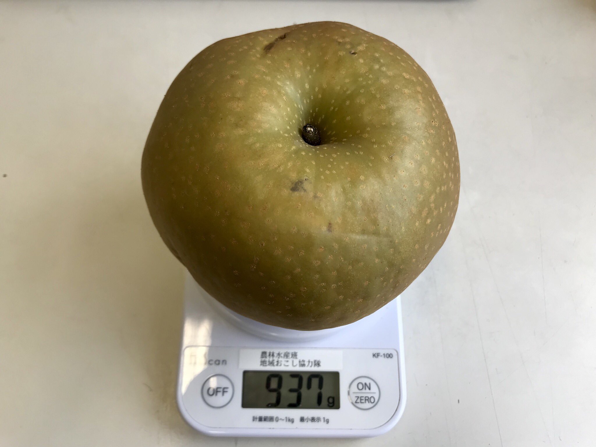 梨王子 利府おもて梨園 本日も 利府梨 は 長十郎 を収穫 サイズはなんと1kg弱の 横綱級 とった 梨 は保育園に提供しました 利府町 トカイナカ 利府 秋の果物 秋が旬 食育 梨好き 田舎暮らし ミニマリスト あきづき