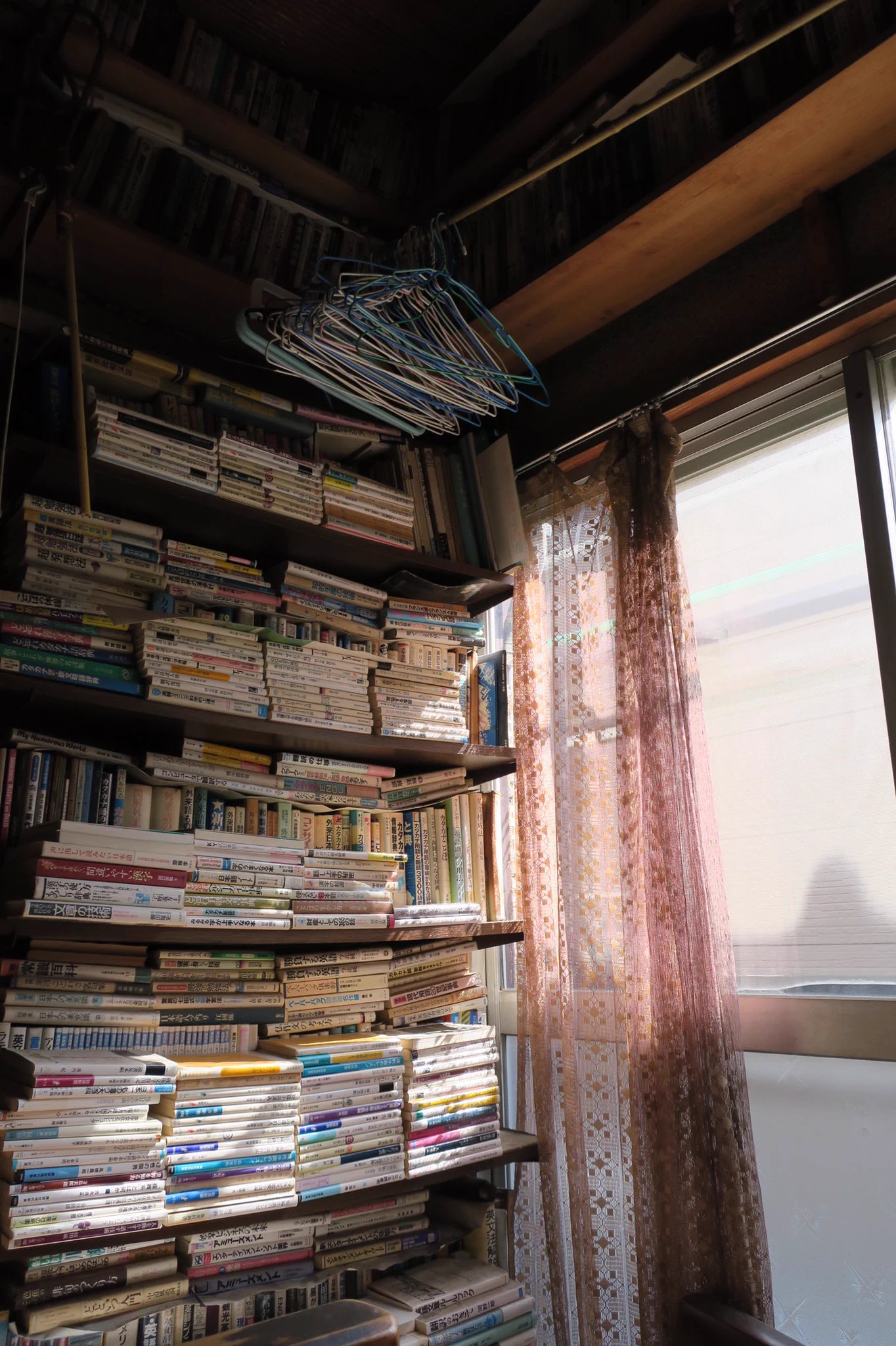 天井まで積み上げられた本の山！！このまま古書店が開けそう！！！