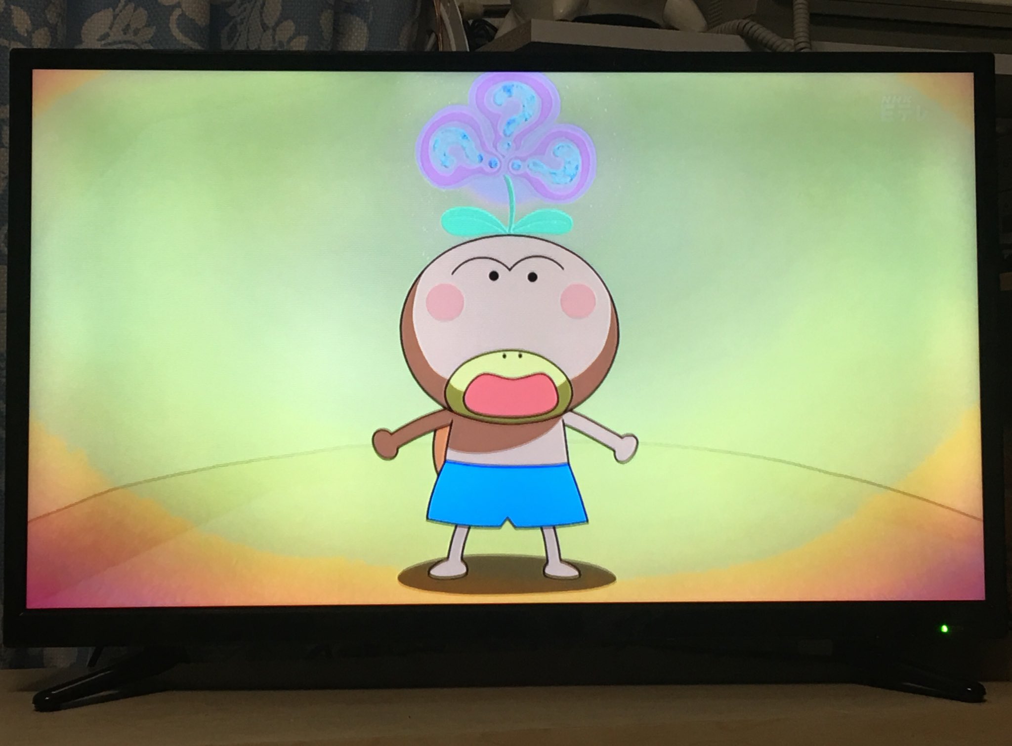 Aya 彩海工房 やっと はなかっぱ わからん咲いた てかyoutubeか何かで見た事あるやつだったけど笑 T Co 4yknl0yftn Twitter