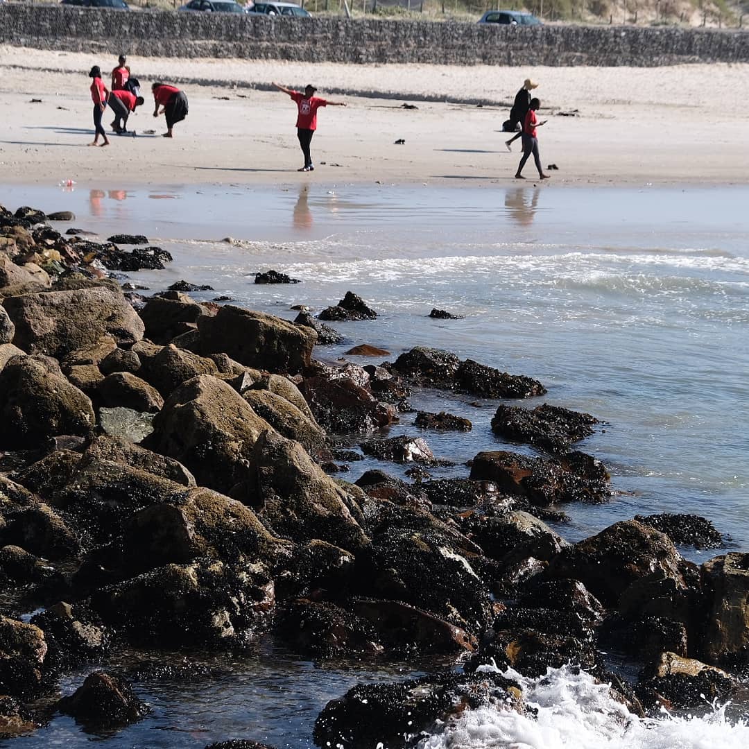 acdblab's tweet photo. After lectures we go to the beach.
#botexcursion2019
#transmittingbotany https://t.co/lnGWQTUICf