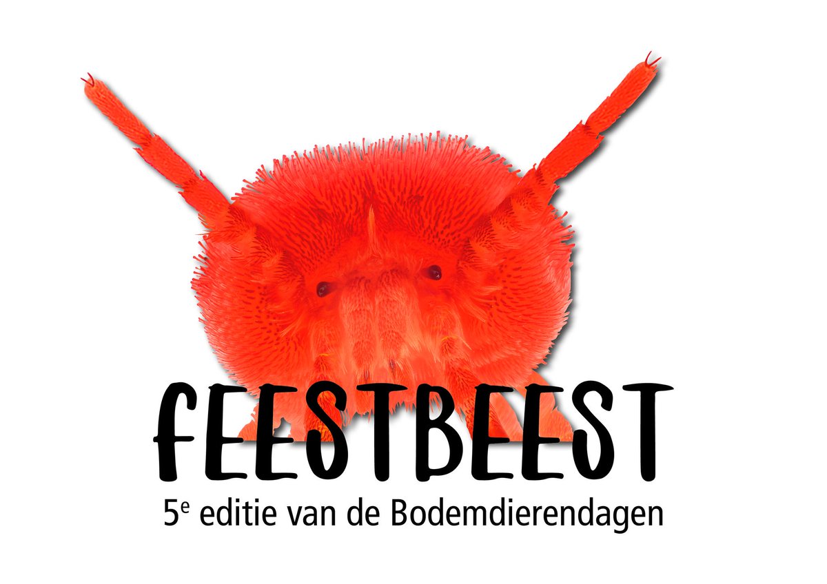 niooknaw's tweet image. De feestelijke 5e editie van de #Bodemdierendagen is van start!
Onze onbekende &apos;onderburen&apos; hebben aandacht en kennis nodig
bodemdierendagen.nl/pers/feestelij…
#WvdW #Weekvandebiologie