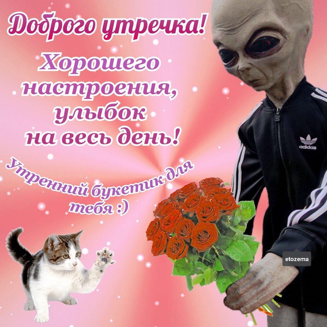 EFYNZCiXYAA7Tzd?format=jpg&name=medium