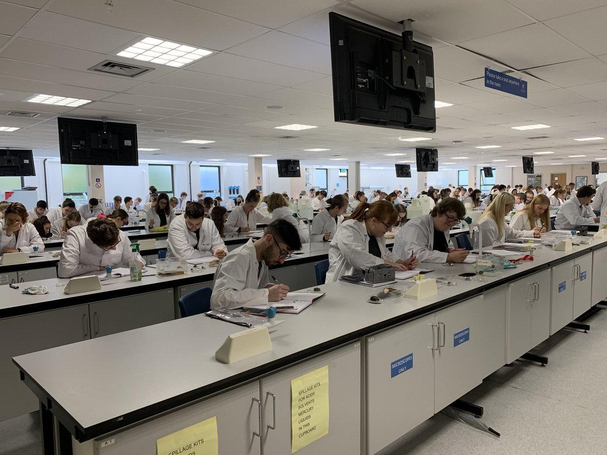 First year @sos_bangor_uni <a href="/BangorUni/">Bangor University</a> practical. Students working hard with taxonomy and identifying marine molluscs @jjwaggitt