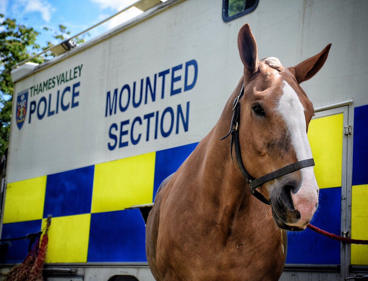 ThamesVP's tweet photo. Following an incident during Portsmouth's match with Southampton on Tuesday, @HantsPolice have confirmed @TVP_horses' PH Luna was uninjured and remained on duty for the rest of the evening🐴 https://t.co/q0uB8ih9Sx