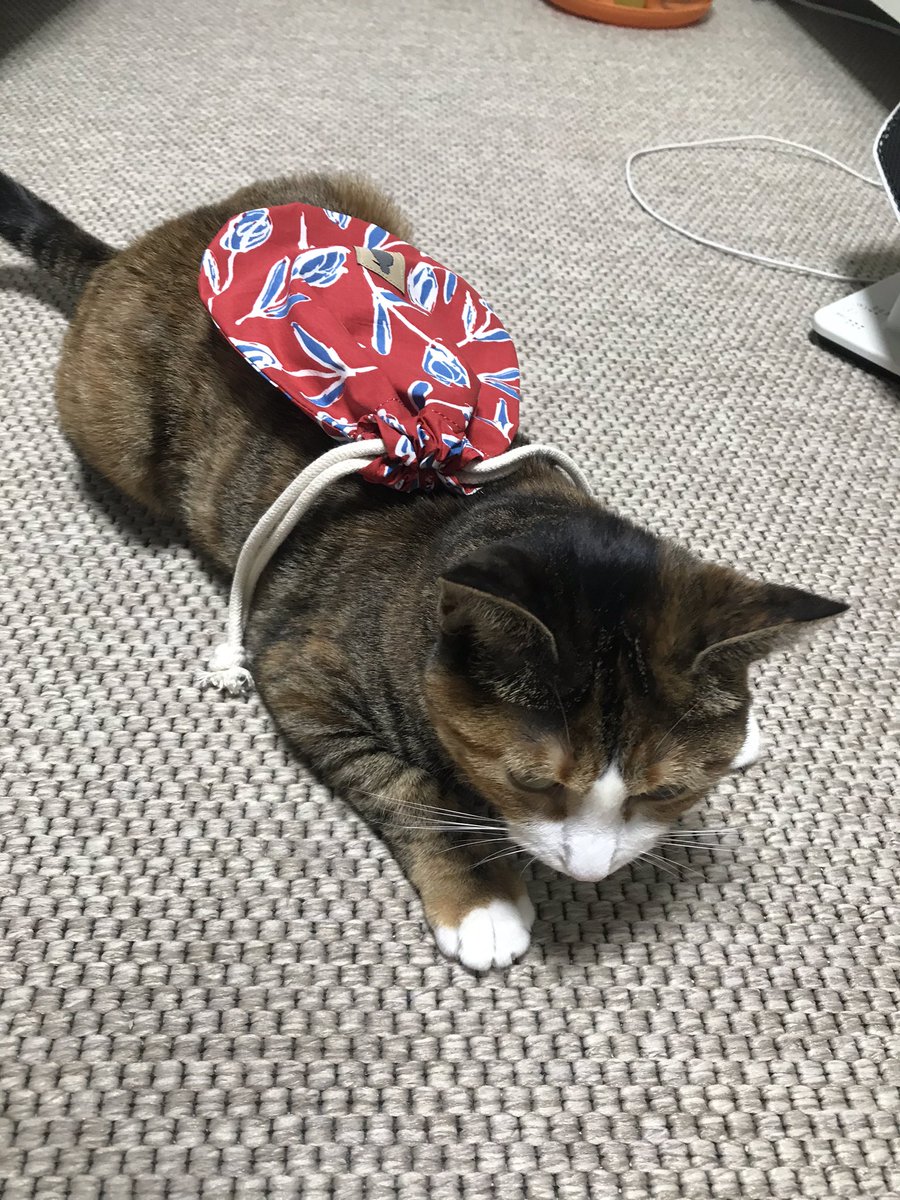 v2soo2's tweet photo. 보따리장수 등장 https://t.co/wRA09cIgGY