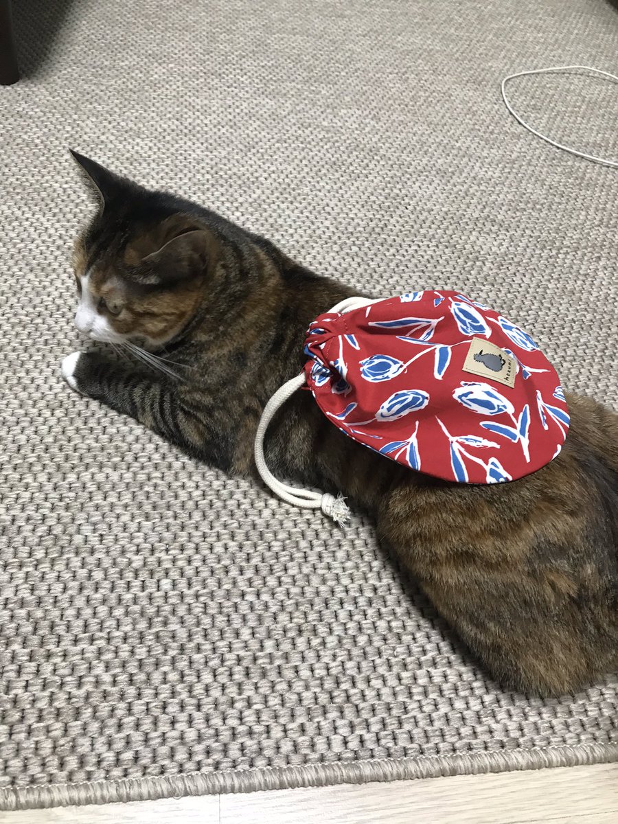 v2soo2's tweet photo. 보따리장수 등장 https://t.co/wRA09cIgGY