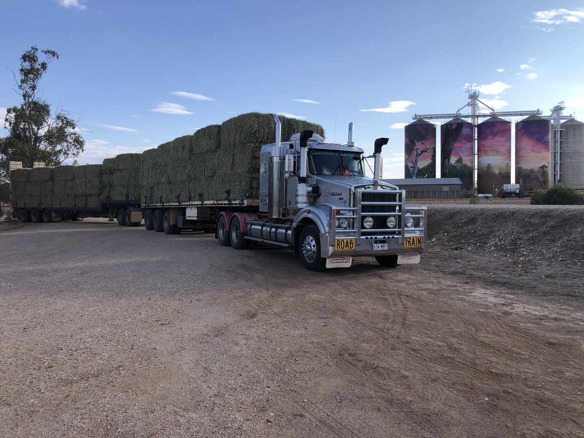 Scott_Loughnan's tweet photo. I’m still lost and running #drought19 #kwlife #feedingcows #cmonhuey https://t.co/OW4iDWZKlr