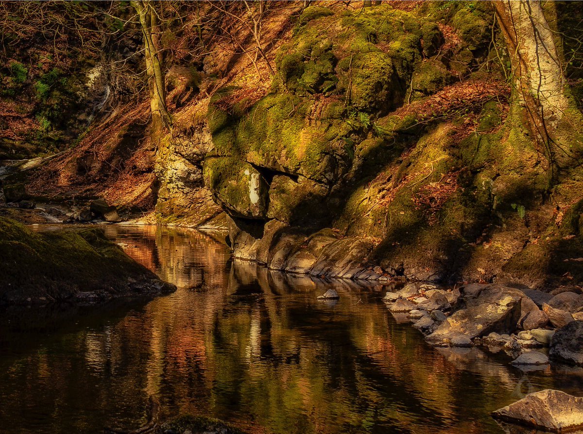 The Guardian Of The Glen. Can you see the mythical creature? #scotland #scotland_lover #hiddenscotland #canon5dmarkiv #atlaspacks #visitscotland2019 #scotlandshots #scotlandisnow #scotspirit #unlimitedscotland #scottishscenery #scottishlandscapephotography #scottishlandscape