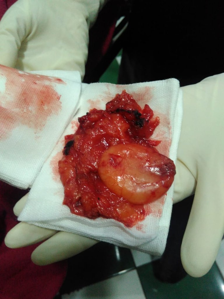 Aryadika tweet media