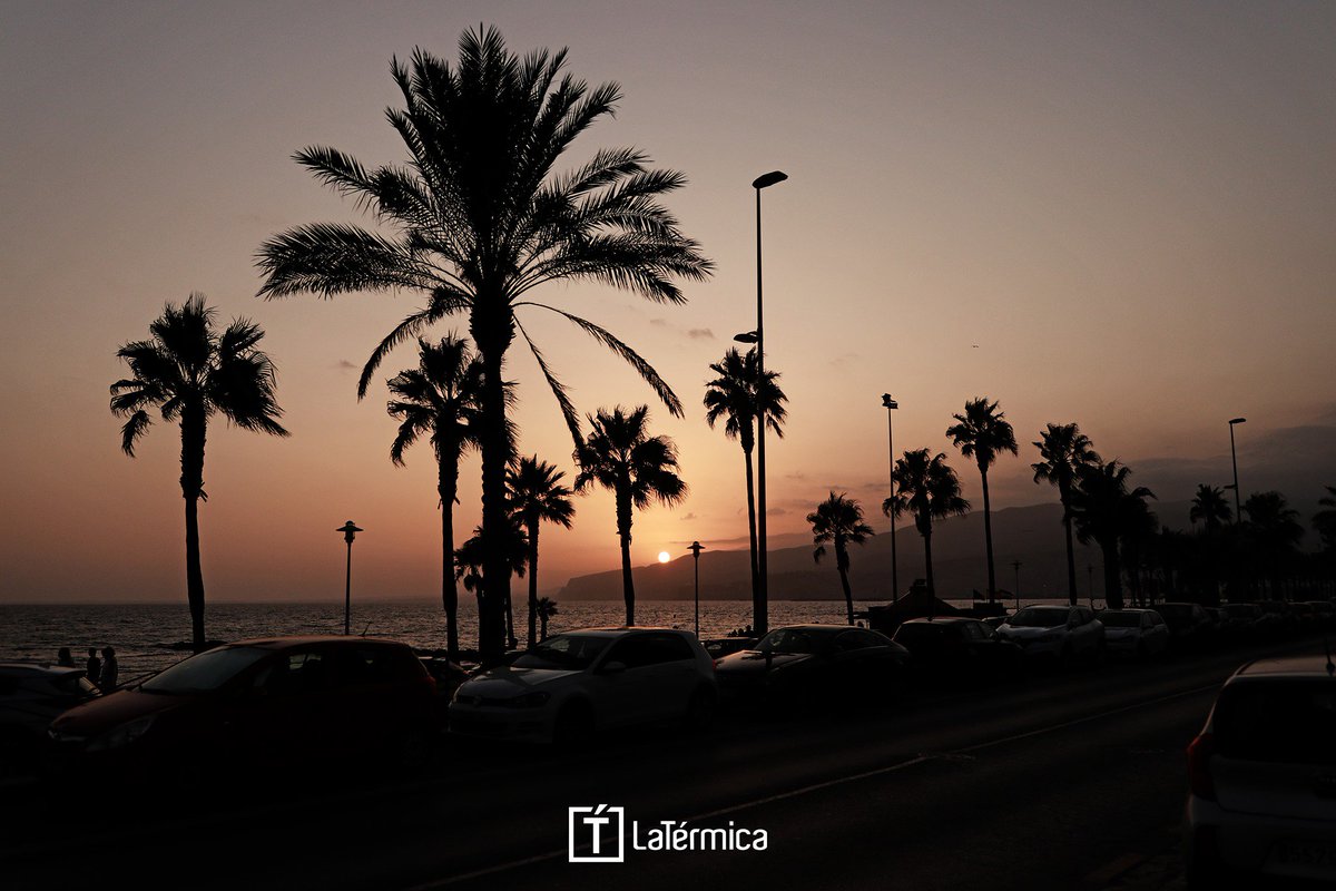 La Térmica tweet media