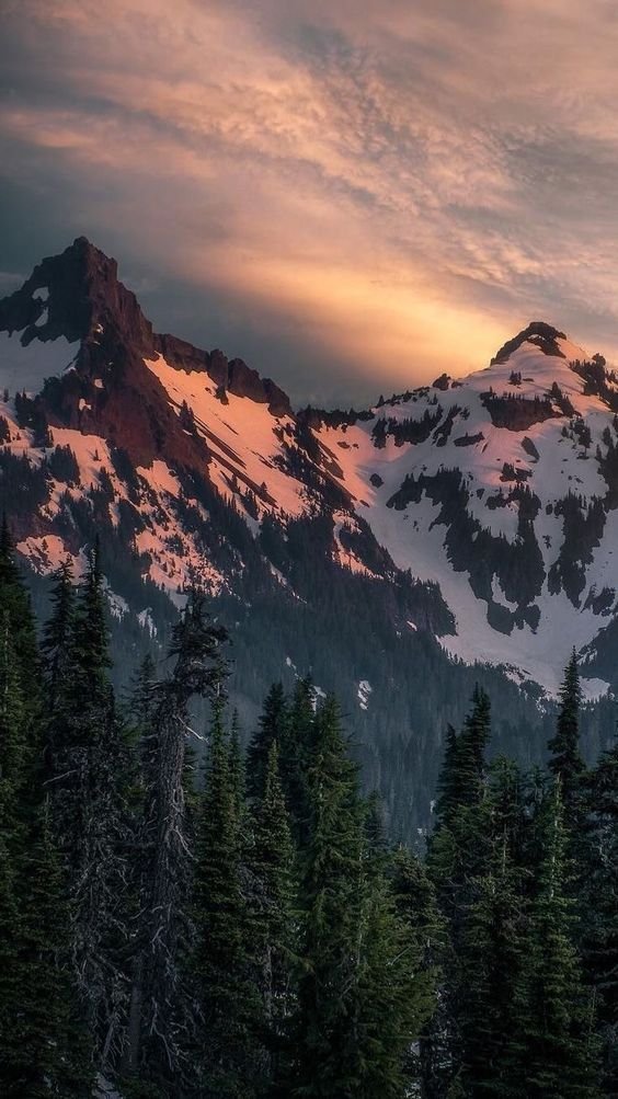 ecross25004030's tweet photo. 🏔️Take control of who you are
🏔️Stay the same don't let them change you
.
.
.
#landscape #photography #travel #hill #tree #highland #ecross #horizon #fell #photooftheday #instagood #adventure #sunset #love #valley #picoftheday #ridge #saudiarabia #hiking #vacation https://t.co/9SiF1j6vRY