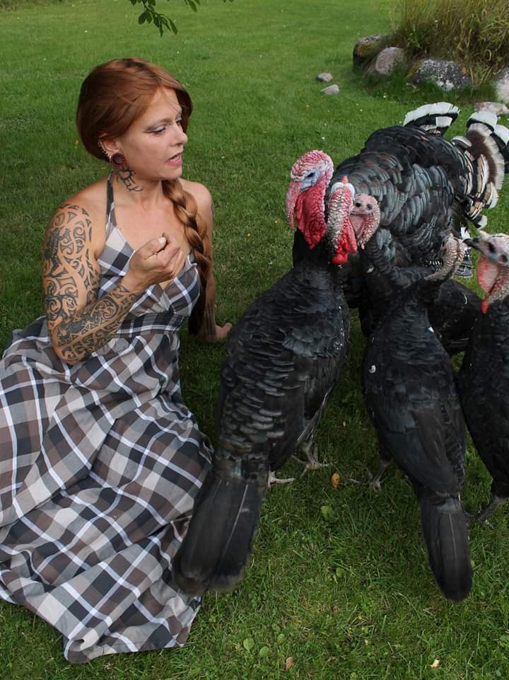 Volucris3's tweet photo. My loving turkeys❤️❤️
#pet #turkey #myturkey #heritageturkey #finniswoman #alternative #altmodel #longhair #tattooed
📸:@scylei https://t.co/luVbdDEGEf