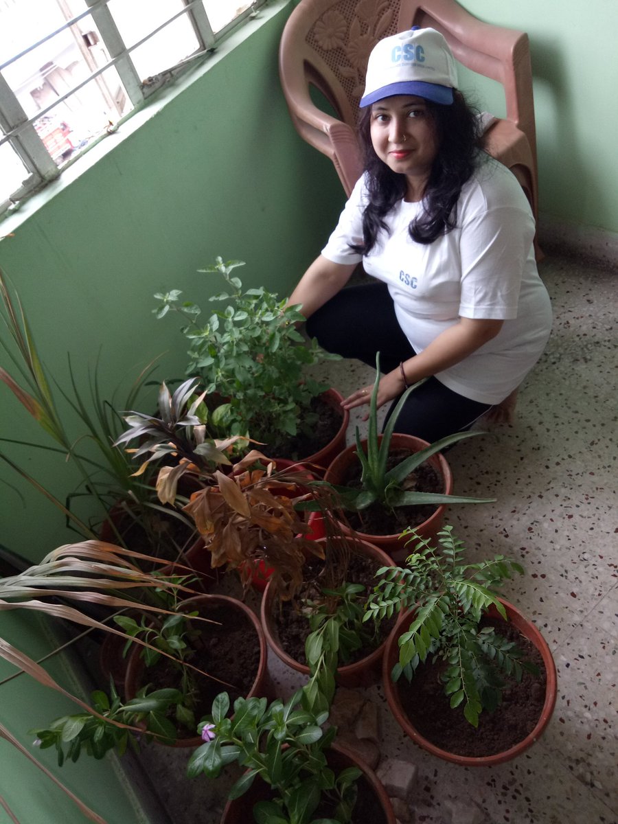 AdilNayar's tweet photo. On 25th Sept Csc Patna City Conducting Plantation For Healthy and Pollution Free Environment.Planted Herbal Plants Like -Tulsi,Alovera,Kari Leafs and many more at Csc Center.
@CSCegov_ 
@BiharCsc 
@ermuditmani 
#Pollutionfreeenvironment.
#TreesForFuture https://t.co/D7sJe8M3JZ