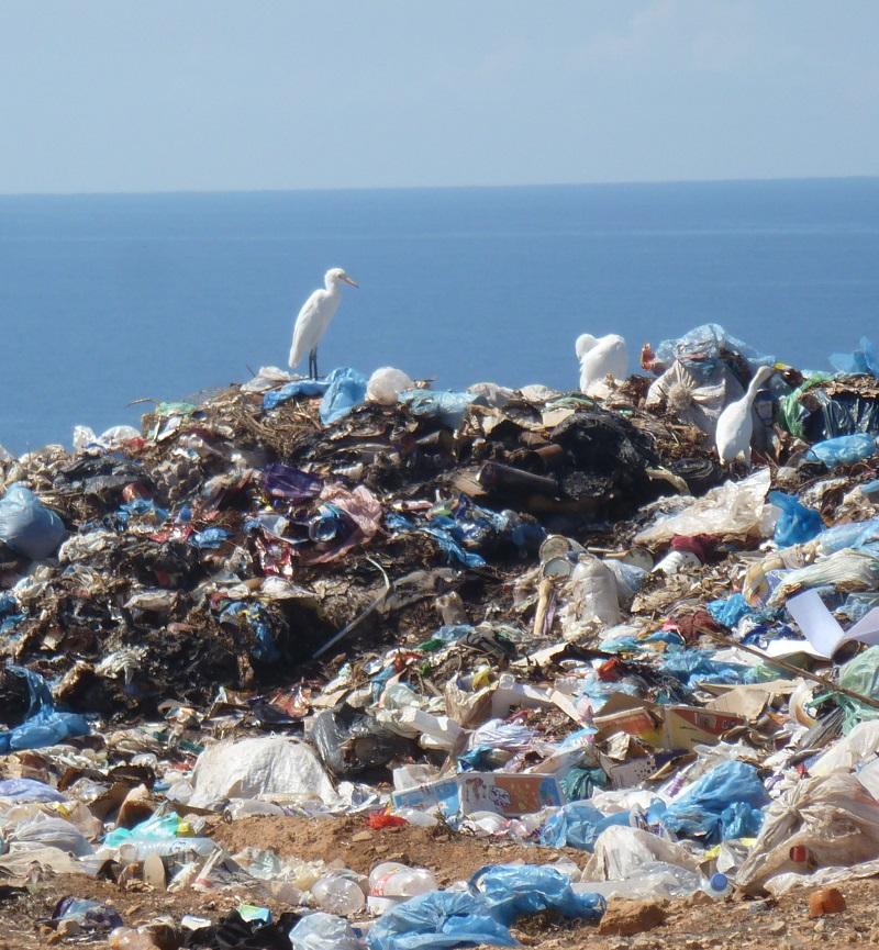 HarboroughDC's tweet image. Over 700 residents have signed up to the #Harborough Plastics Pledge. Can you help us reach 1,000? harborough.gov.uk/homepage/102/p…

#RecycleWeek2019