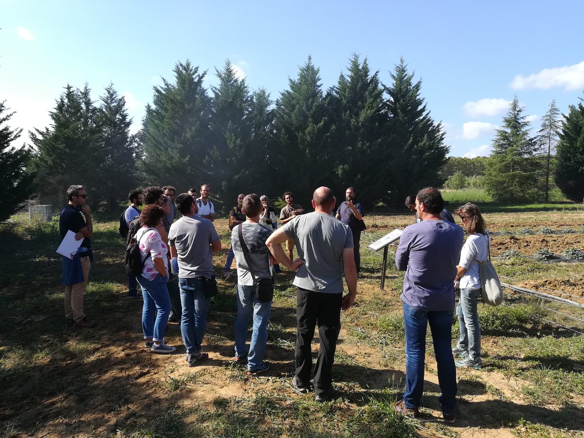IdariaCoop's tweet image. Jornada domostrativa "Tecnologies de producció de Biochar" @UniBarcelona a @fundacioemys #PATT2019 @ruralcat Avui veient en marxa 3 tipus de carboneres i veiem les qualitats del producte resultant per aplicació agrícola en aromàtiques. #biochar