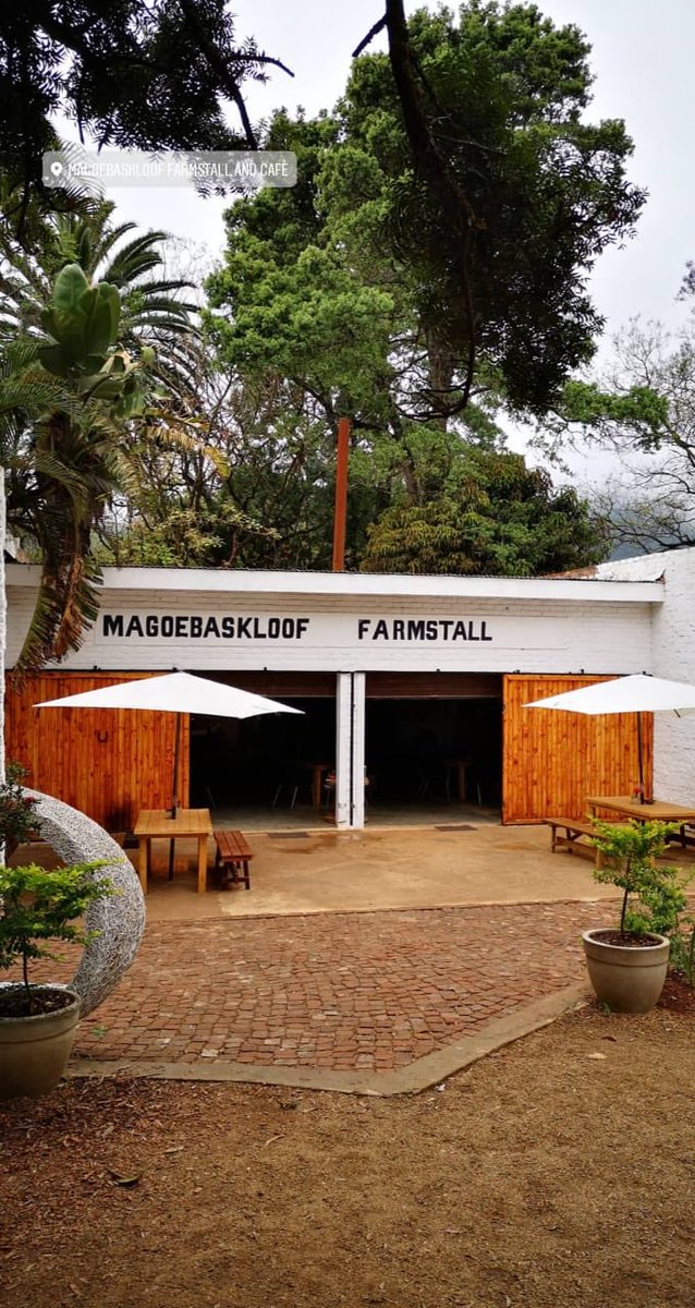 5FM's tweet photo. What an incredible Day 19 of the @HammanTime Heritage Tour!๐คฉ๐ฟ๐ฆ๐ From the Magoebaskloof Farmstall to the @magoebascanopy Tour๐คฉItโs been awesome!
What does the final day of #HTHT19 have in store? Make sure you tune in tomorrow 9AM to find out!๐คฉ๐ฟ๐ฆ๐๐พ @ZambukSA #RealMakoyaMoments https://t.co/nhfU2bt7Qx
