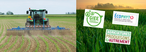 Bjorn_Desmet_'s tweet photo. @prefet59 @ChambagriFrance @BIOmanu59 @agriculteuraujo Consultez la feuille de route régional #Ecophyto2+  
📄🗓 2019-2025 pour les #hautsdefrance 
ainsi qu'un retour en images sur les visites et échanges qui ont eu lieu en marge de son adoption ici 👇
 https://t.co/57kABuep0f https://t.co/2jHIwjvTl6