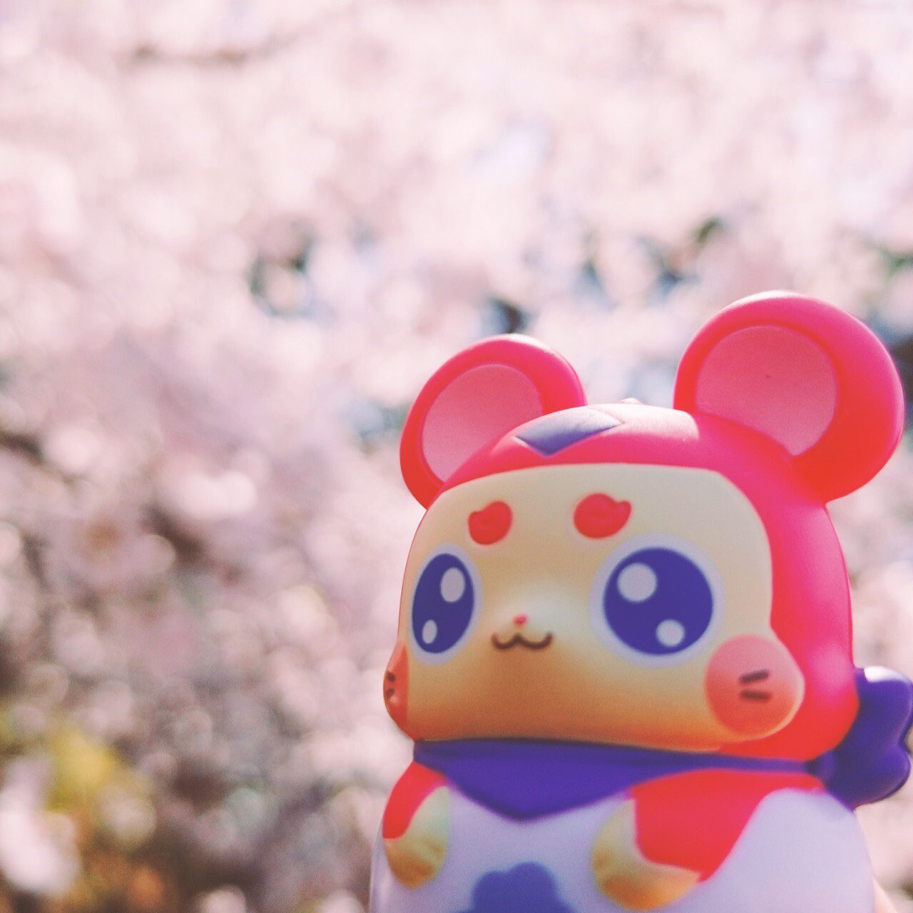 ここたま公式 Anime Cocotama Twitter