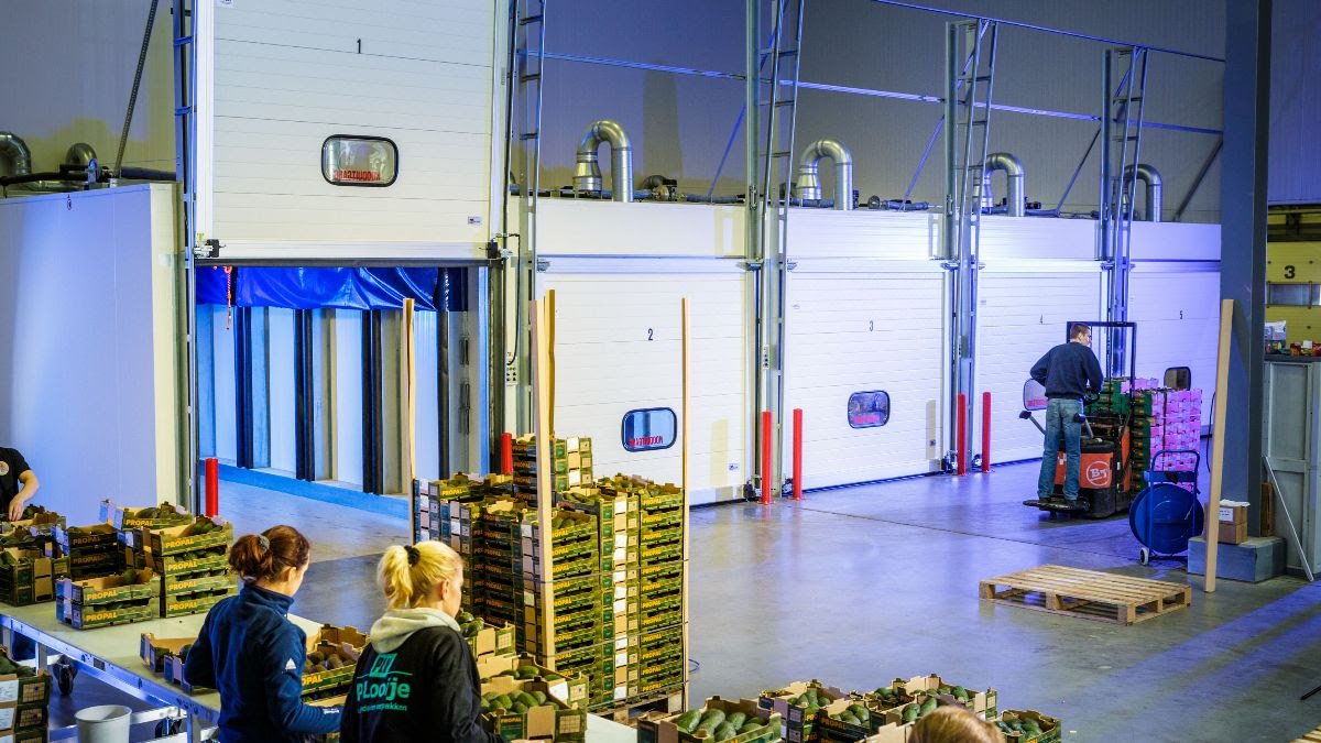 Interkoripening's tweet photo. Do you have the technology to ripen #avocados and #mangoes to perfection? As demand grows for ripe-and-ready #fruit, Interko can support operators with hi-tech, tailored solutions. Read more in our latest press release: https://t.co/2nwwxldSD0 https://t.co/8ZYeFafJ8I