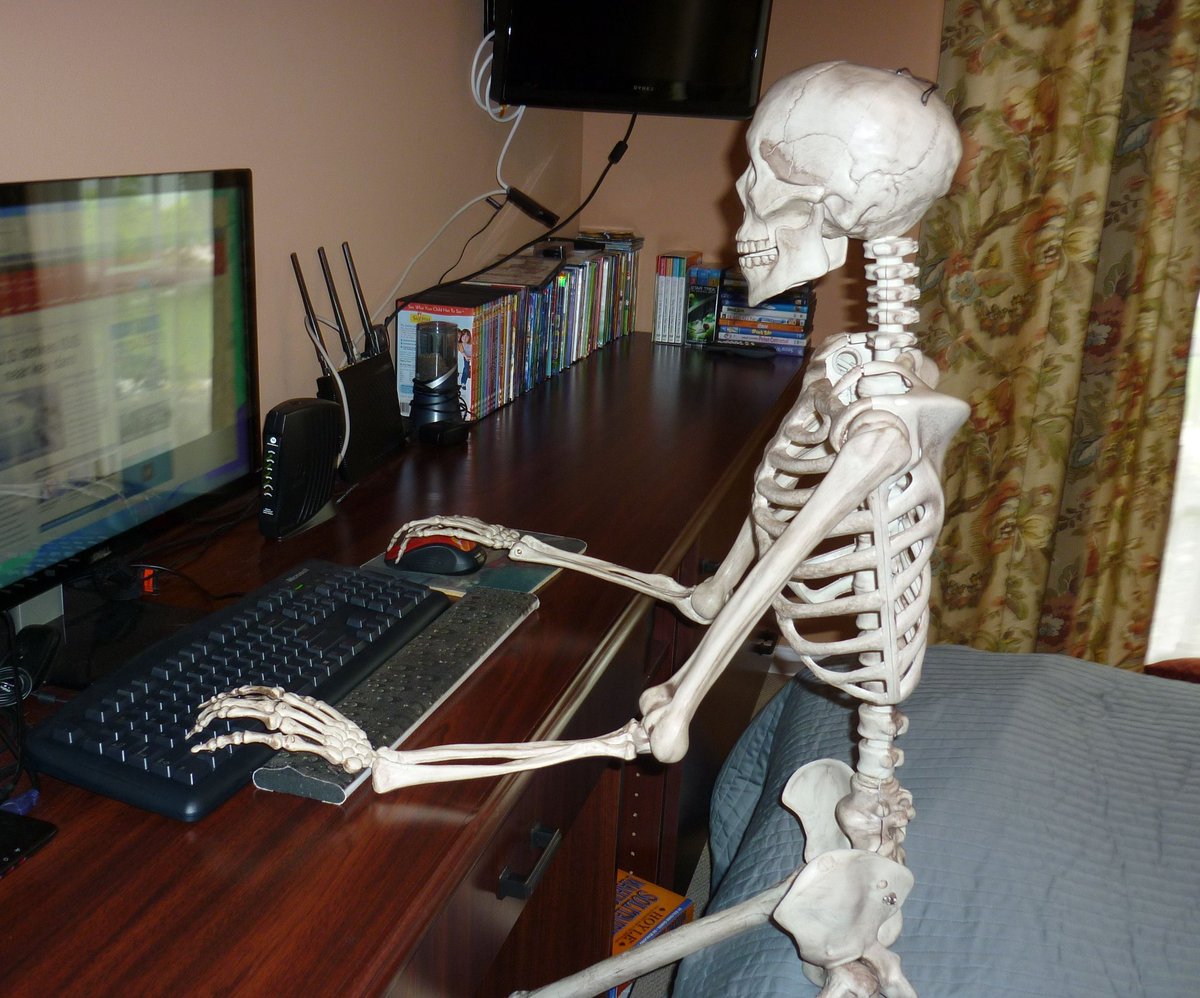 Скелет работает. Скелет работает. Скелет в паутине за компьютером. Скелет сидит за компьютером. Скелет работает.