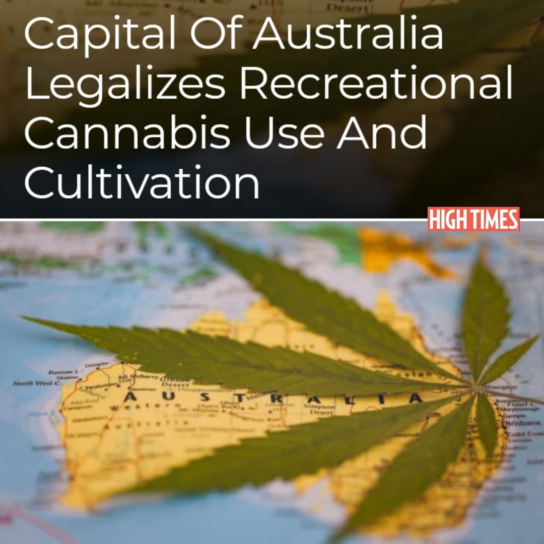 🇭🇲 HISTORY is made in #Australia, as Canberra just became the first city in the country to legalize recreational cannabis use and cultivation for adults 18+! The new laws take effect on January 31st, 2020. #canberra #aussie #smokersofaustralia #legalizeit #weednation