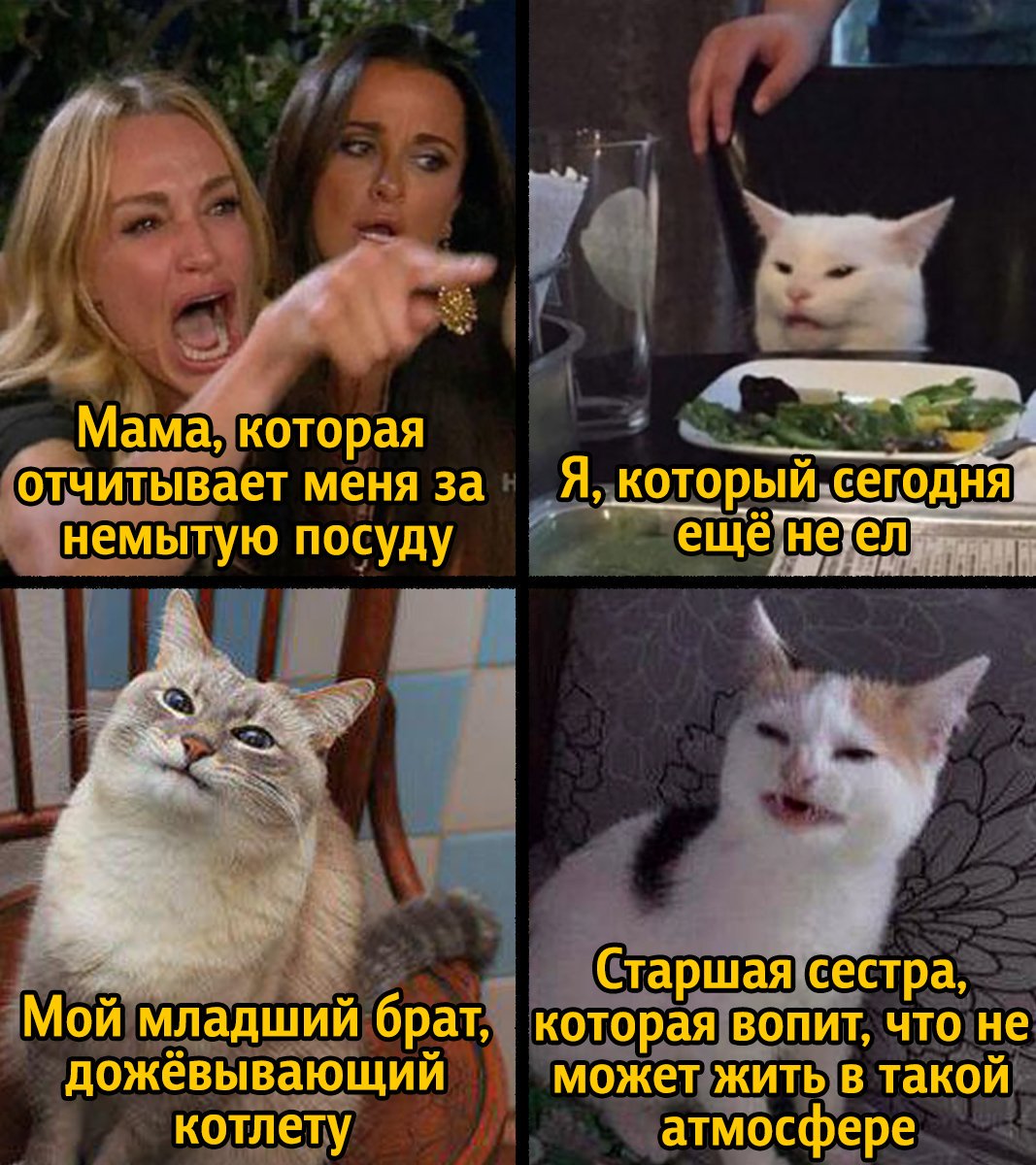 https://medialeaks.ru/2609amv-table-cat-meme-evolution/?utm_source=twitmdlk...
