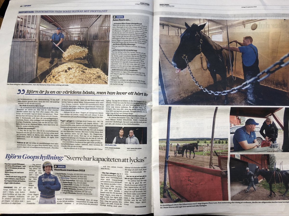 PappaGambler tweet media