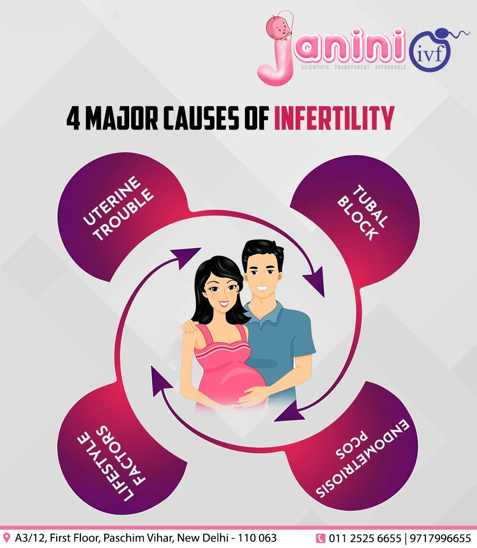JaniniIVF's tweet photo. Having trouble getting pregnant?
Facing trouble in getting pregnant in her childbearing age?
There are a number of causes of female infertility, but the major causes include blockages in the Fallopian tubes,

Call our expert for infertility related queries.
+91 9717996655 https://t.co/WabgGSsAvC