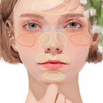 顔に立体感が出ているのはこういう事!とっても分かりやすいイラスト!