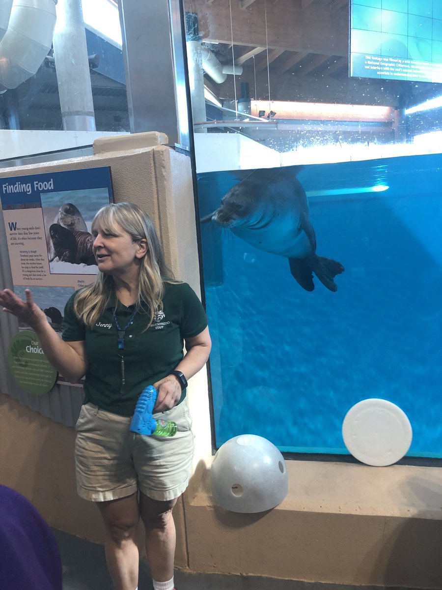 Spent the day @mnzoo with these animals preparing our students for the ZOOMS STEM CHALLENGE! This will be great real world connected learning four our SLP students! #STEMeducation #hawaiianmonkseals #SLPPantherProud #bestjobever