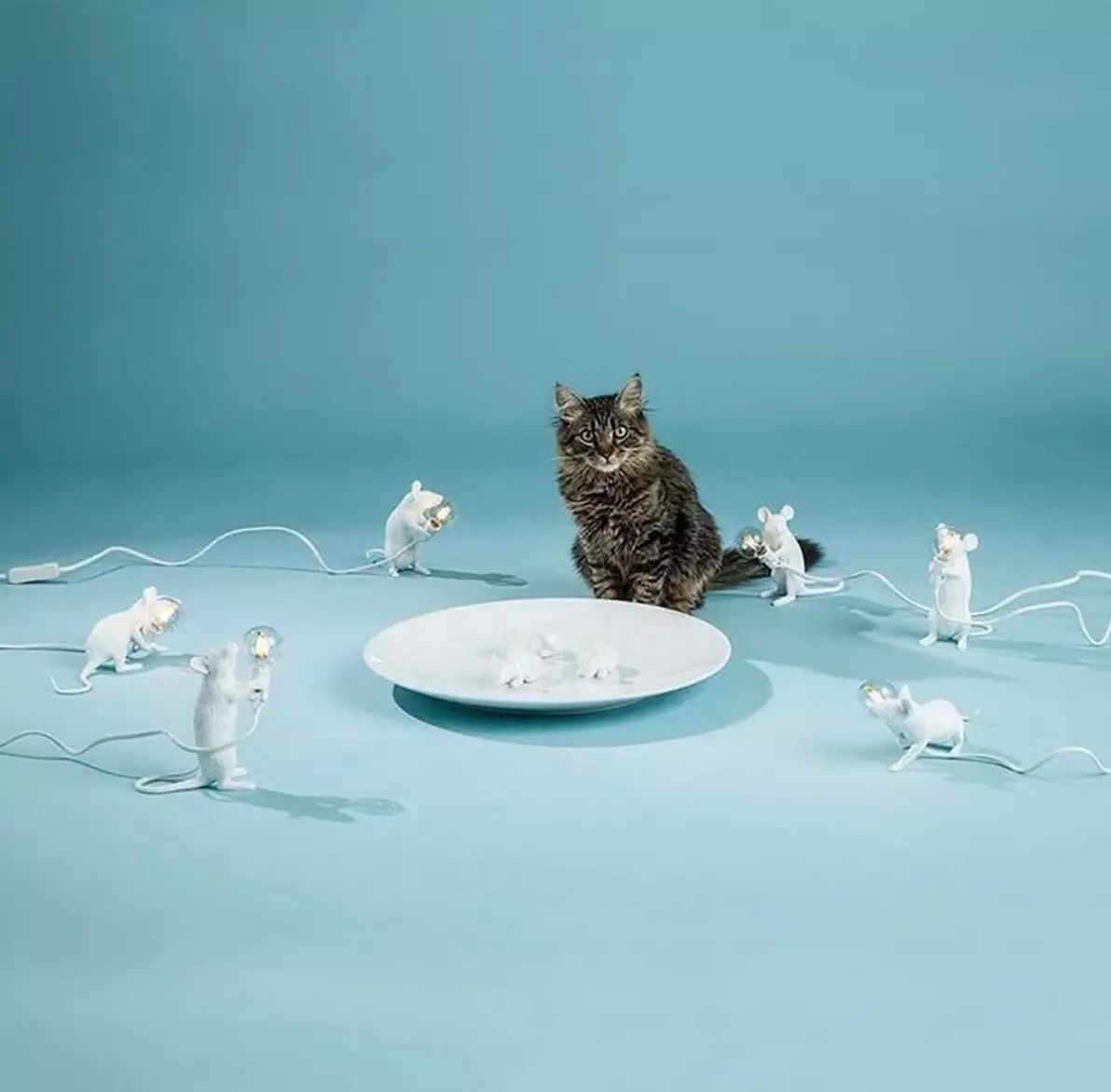 lightology's tweet photo. You had one job, cat. One job!
∙
#cat #kitten #catfails #catandmouse #tomandjerry #fluffycat #mouse #mouselamp #lamp #lampdesign #funnycat #cutecat #lighting #lightingdesign #lightingtrends #seletti #selettiworld #youhadonejob
∙
Fixture: Mouse Table Lamp from @SELETTIworld https://t.co/yOMUtrZdZ4