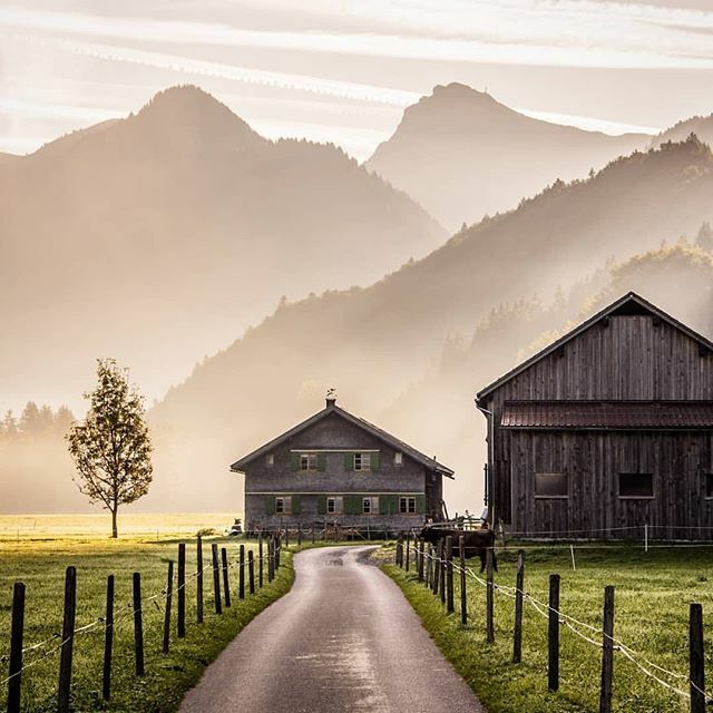 Instagramers Austria tweet media