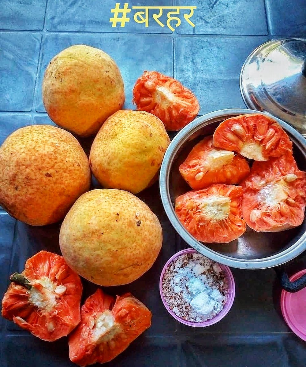 BeingMaithil's tweet photo. बरहर | #MonkeyFruit
किनका किनका निक लऽगैय।
साभार : @mithila.nepal
_
Use #BeingMaithil to get featured.
#mithila #india #Bihar #Jharkhand #nepal #Madhesh https://t.co/LAoTzQ9aY1