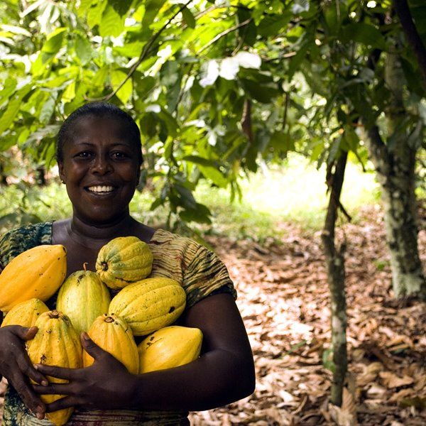 AgroCares Scanner and the SoilCares Adviser Africa app provide smallholder cacao farmers with insight into their soil's nutrient needs and recommendations on the right fertilizer that will improve their yield. Learn more at: buff.ly/2liEU4z