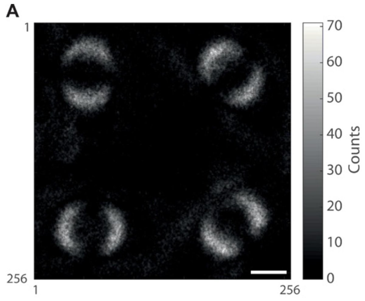 JediASU's tweet image. Saw this thread on @Reddit last night.
Humbled, in awe, and blessed to be here.
1. Picture of a single atom
2. Image is only 0.0000000385% of the total area of the sky.
3. first image of quantum entanglement
4. "Pale Blue Dot." Look up Carl Sagan's quote.
#ThankfulThursday