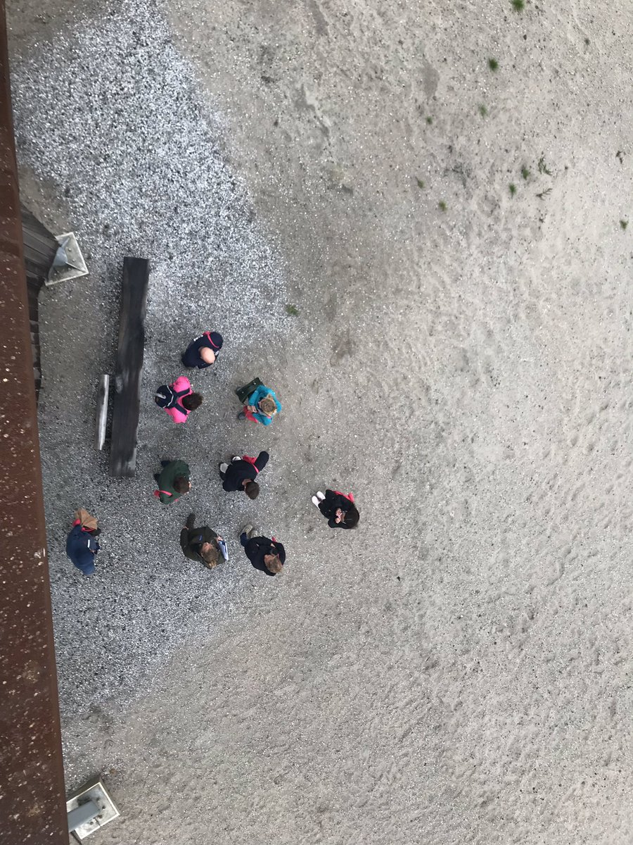 One day at the office 😉 Met een groep internationale studenten <a href="/UTwente/">University of Twente (inactive)</a> naar de <a href="/marker_wadden/">Marker Wadden NPNieuwland</a> in Nationaal Park Nieuw Land. Mooi stukje Flevoland! #ookalshetregent 💦