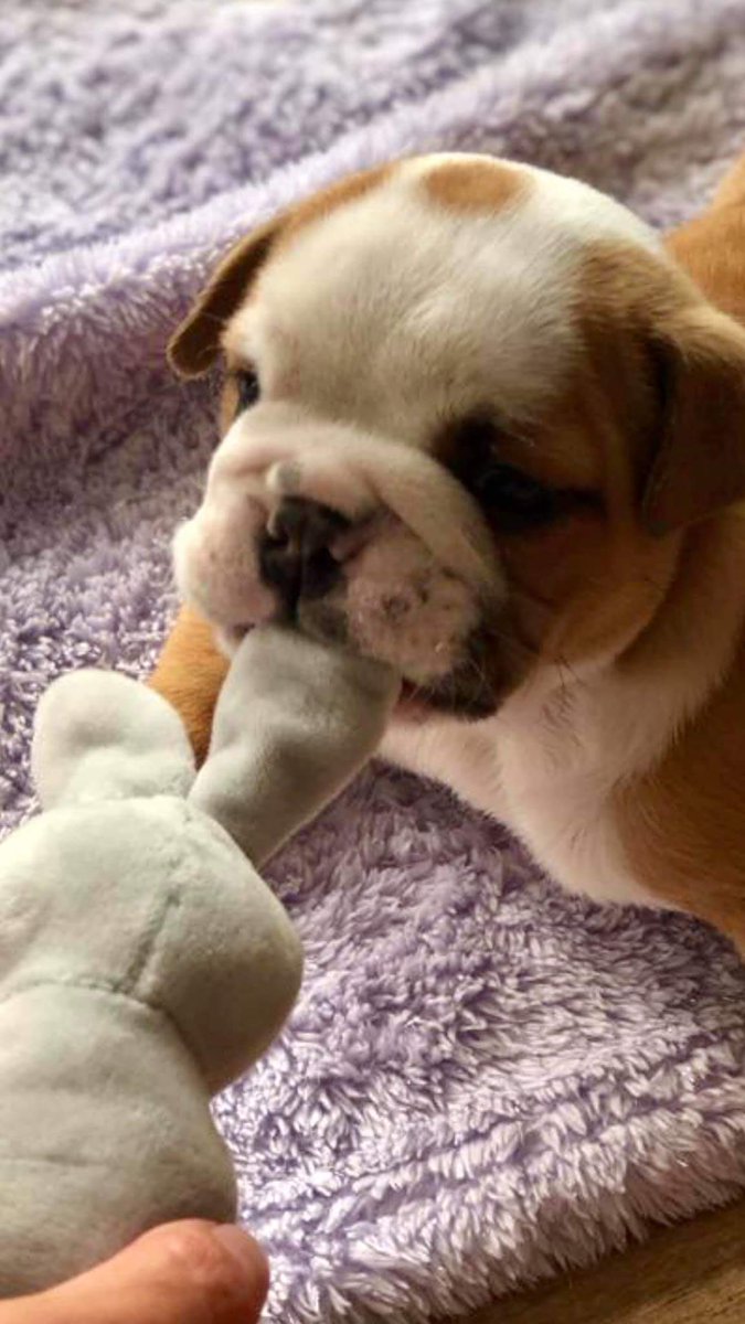 BrightestJason's tweet image. m.facebook.com/story.php?stor…