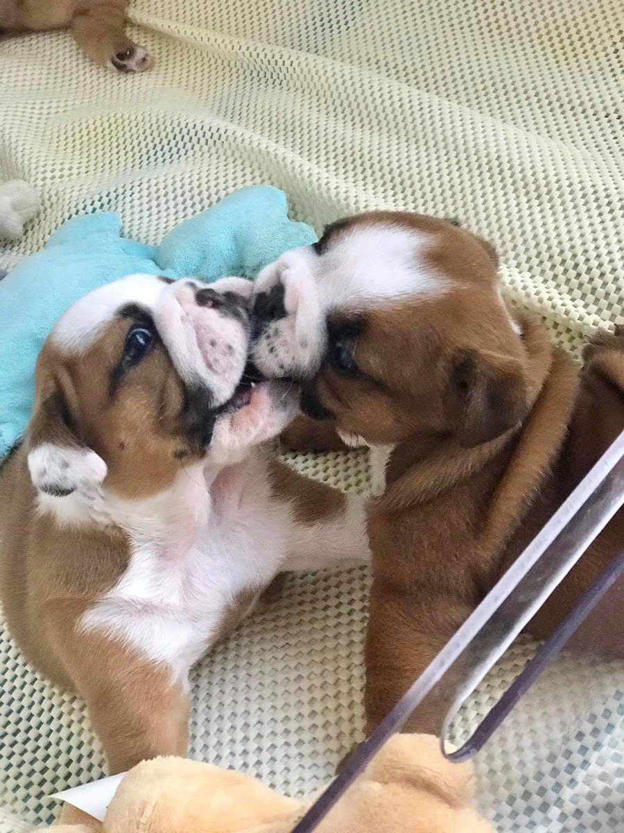 BrightestJason's tweet image. m.facebook.com/story.php?stor…