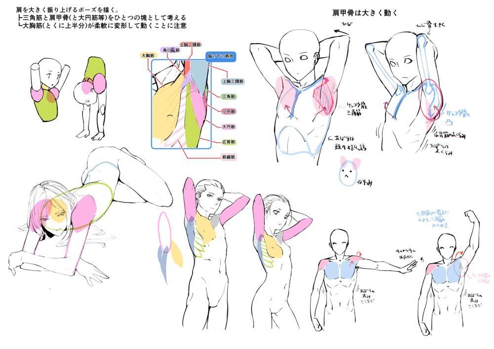 お絵かき講座パルミー 選べる特典cpn中 Sur Twitter 腕を上手に描く為には 肩の筋肉や肩甲骨を理解することが重要 まずは両腕を後ろに組んだポーズで練習してみましょう٩ ۶ 7日間の無料お試し実施中 絵が上手くなる方法を学ぼう T Co お絵かき講座パルミー 選べる特典cpn中 Sur Twitter 腕を上手に描く為には 肩の筋肉や肩甲骨を理解することが重要 まずは両腕を後ろに組んだポーズで練習してみましょう٩ ۶ 7日間の無料お試し実施中 絵が上手くなる方法を学ぼう T Co