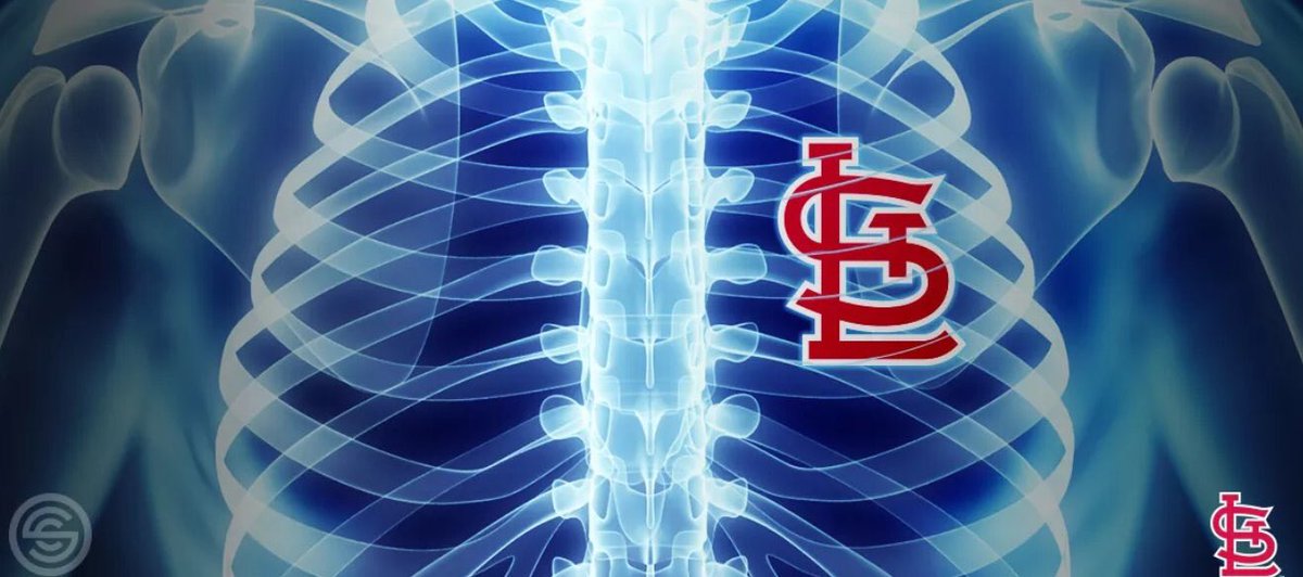 atapia32's tweet photo. @Cardinals I knew it! 👌🏻#Timetofly https://t.co/cKYDTQRjuj