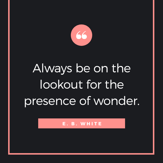 _SignatureEye's tweet photo. 🌺
.
.
.
.
#houston #texas #galleria #houstongalleria #eyewear #glasses #sunglasses #specs #optometrist #optician #optical #igershouston #photooftheday  #picoftheday #quotes #InspirationalQuotes https://t.co/SRJXgaI6aV