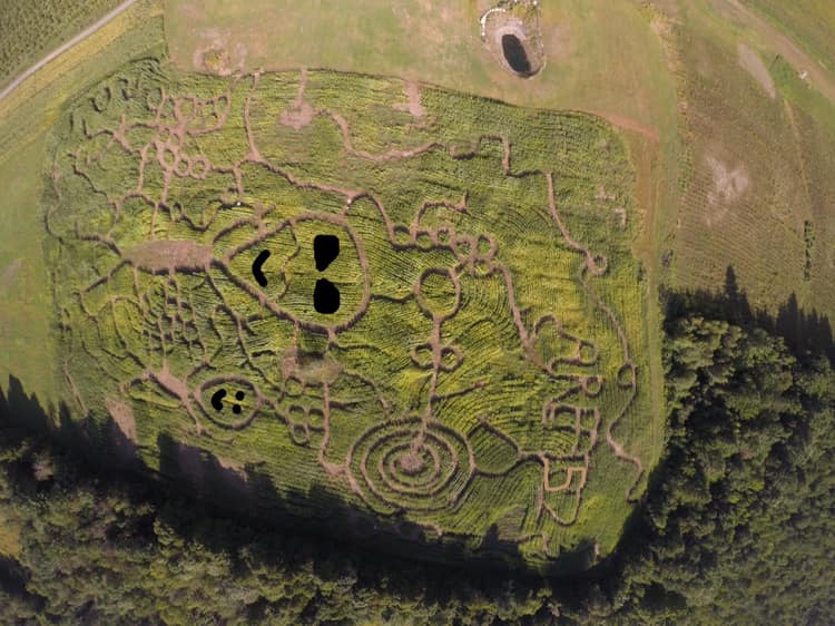 Did you know that #LebNH has a corn maze as well? Check it out at patchorchards.com/fall-2019-farm… 

From <a href="/PatchOrchards/">Patch Orchards</a>: 
"Rather than storming the well guarded Area 51 this year come storm Patch Orchards 'Area 52' where the aliens are friendly and the people are too." 

#UpperValley #NH