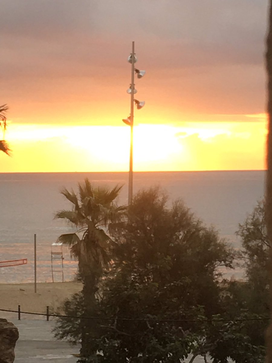 AAAnschuetz's tweet photo. Amanecer en #Barcelona. Estoy emocionada por un día en @ICMCSIC y ver el laboratorio dónde @claudia_traboni hace su  magia. https://t.co/J4DThvxXTq