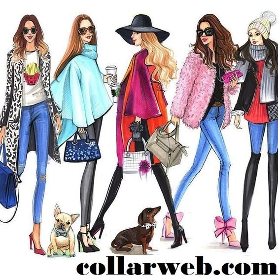 AppColar's tweet image. Perfect Freelance Fashion Designer
collarweb.com