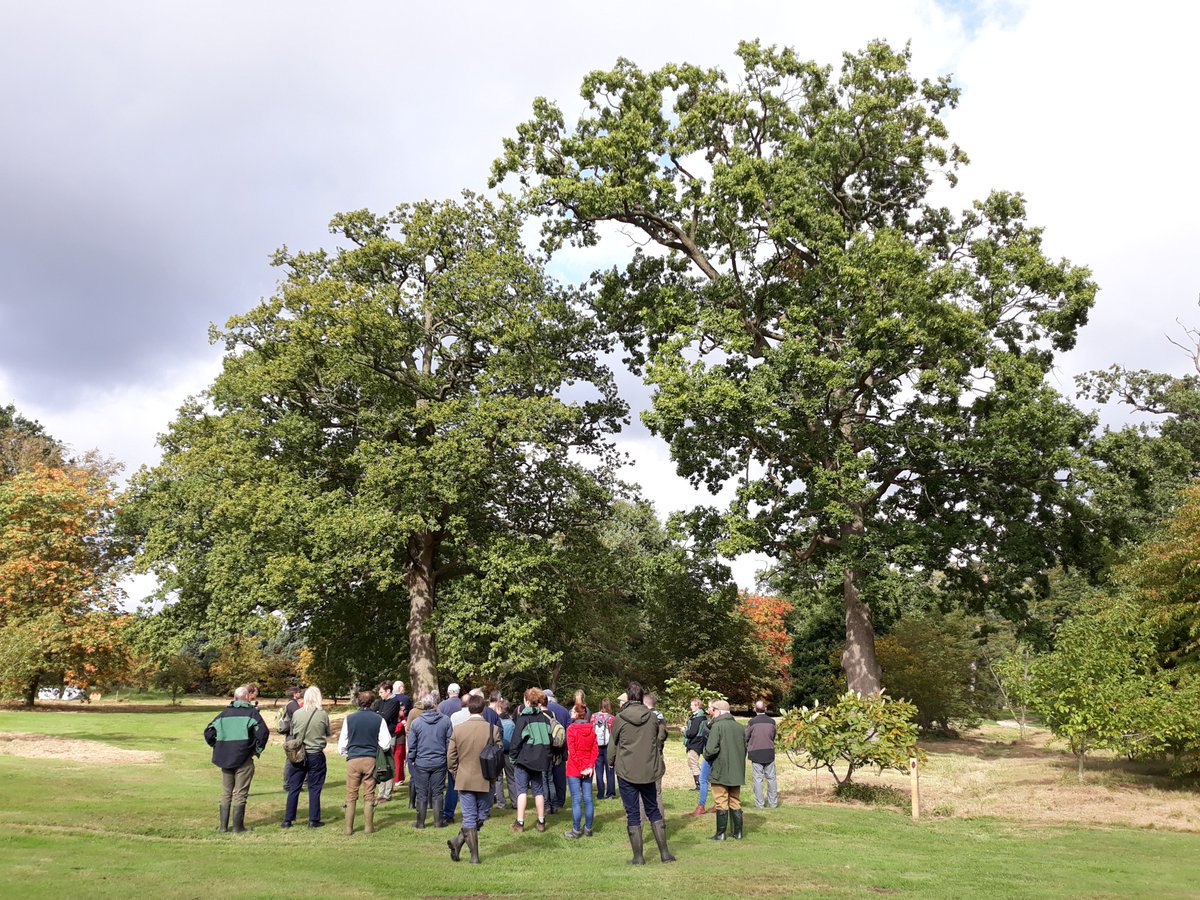 SquirrelAccord's tweet image. Fascinating @royal_forestry #Yorkshire division day on #treepests and #treediseases @FeraScience and @YorksArboretum with @cobwebdr @WoodlandTrust and @CharlotteArmi10

Everyone can use #TreeAlert online to report #tree #pests and #diseases like #greatsprucebarkbeetle