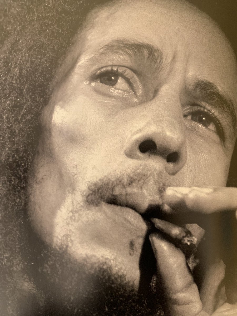 daddyhope's tweet image. If you are a Bob Marley fan, this pictorial book is a must have. It has some rare and very intimate moments like the second black and white picture of Bob with Steve Wonder. It is called The Illustrated Biography. It has 200 classic, rare &amp;amp; unseen photographs of the reggae King