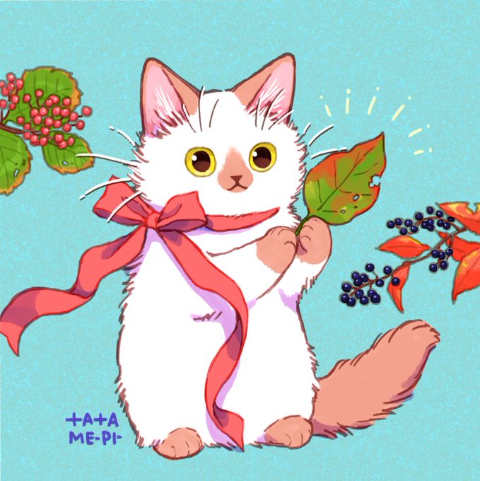 「白い猫 黄色眼」のTwitter画像/イラスト(人気順)
