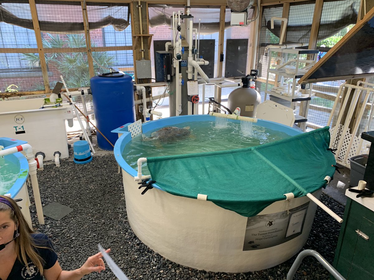 Brian Balocki tweet media