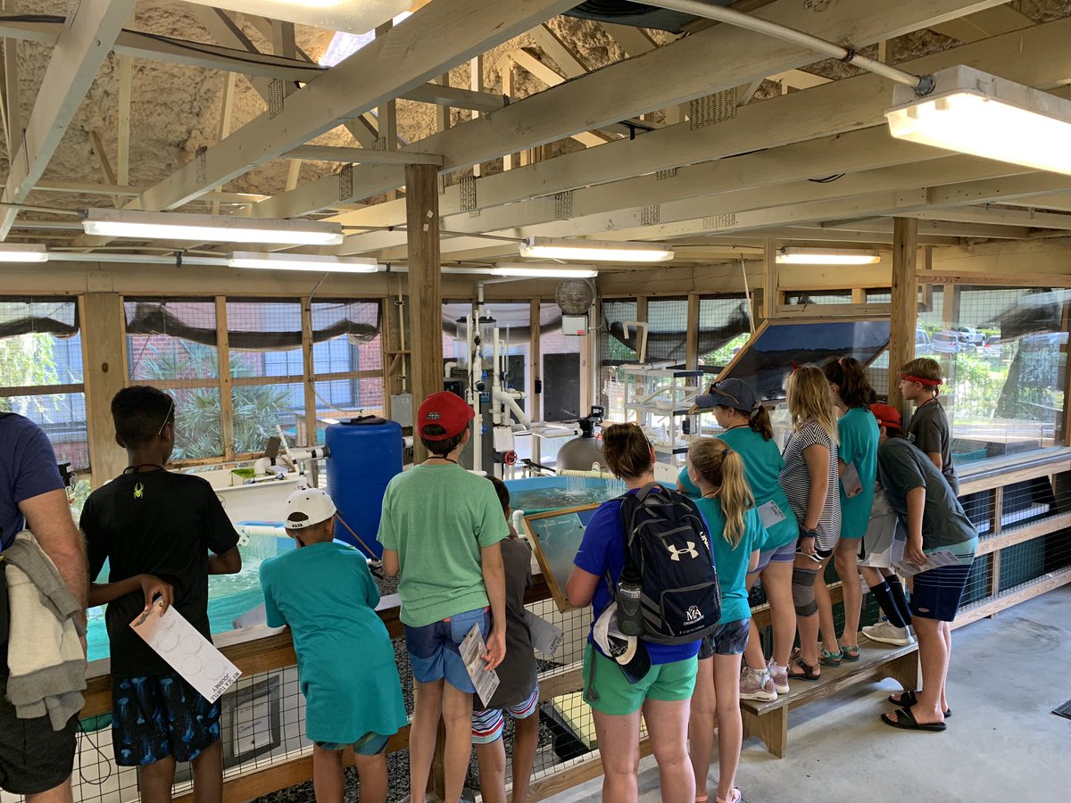 Brian Balocki tweet media